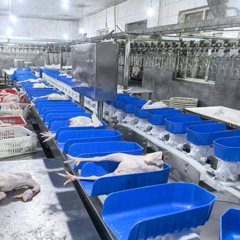 转盘料盒式鸡爪重量分选机牡蛎海鲜配重分选水果自动称重分级机,淘宝优惠券,粉丝福利购,淘宝优惠卷