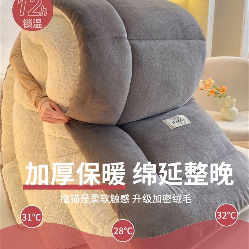 羊羔绒被子2025新款冬季棉被被芯冬天单人宿舍秋冬被加厚保暖10斤,淘宝优惠券,粉丝福利购,淘宝优惠卷