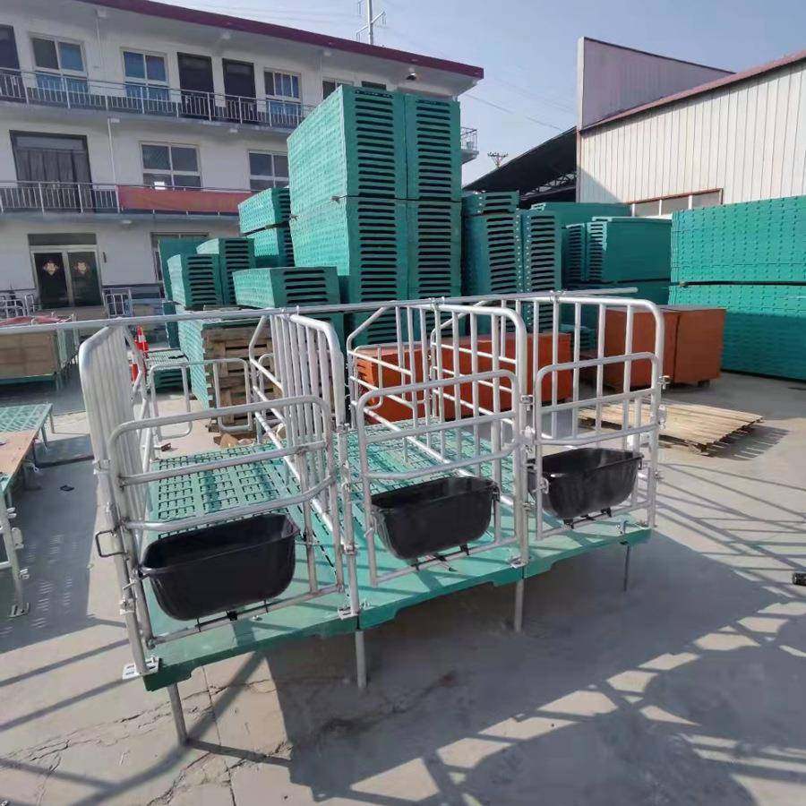 不锈钢槽定位栏热镀锌母猪限位栏单体限位栏新款定位栏现货供应,淘宝优惠券,粉丝福利购,淘宝优惠卷