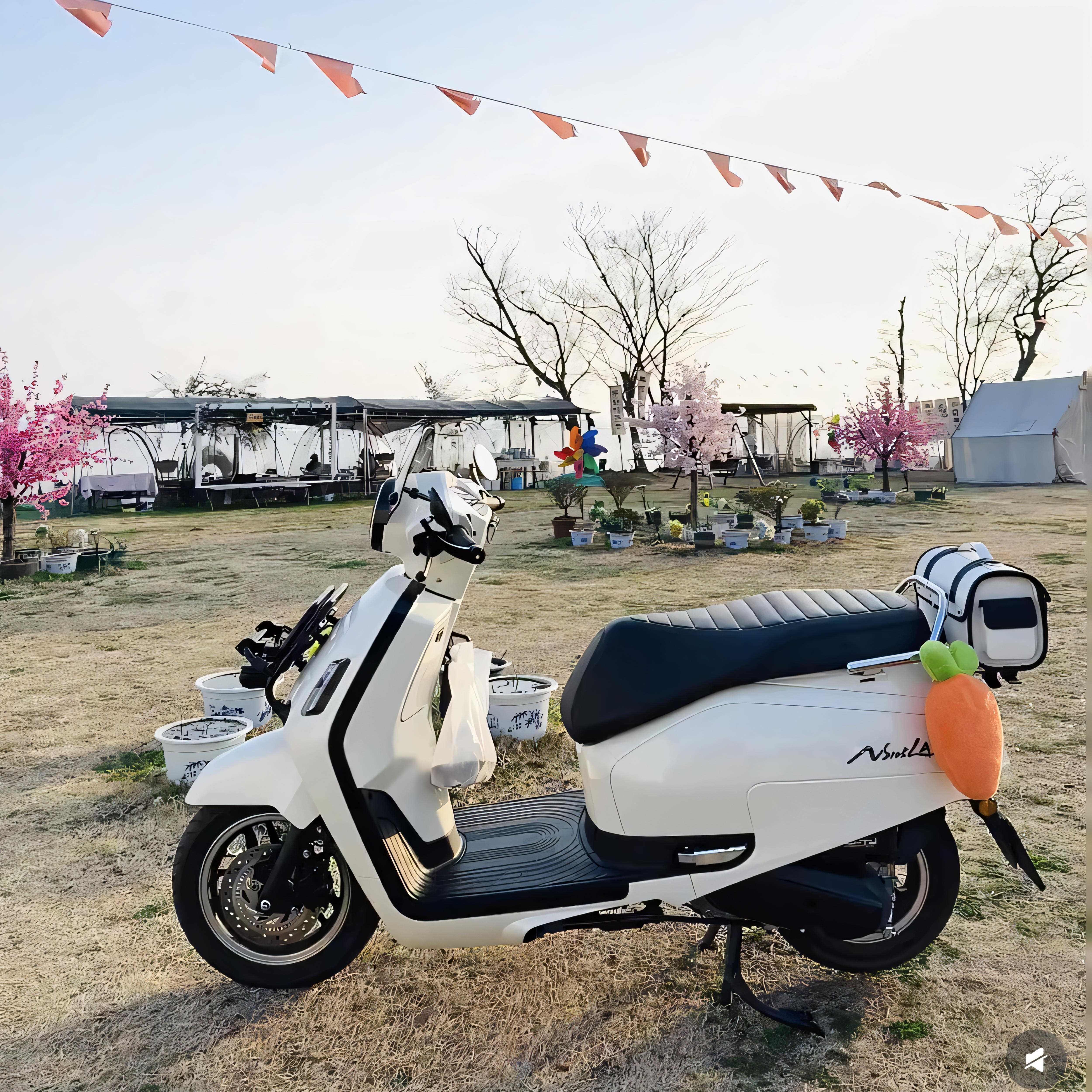 摩托车尾箱包复古后座包电动车皮尾箱本田25款NS125LA后尾包通用 - 图0