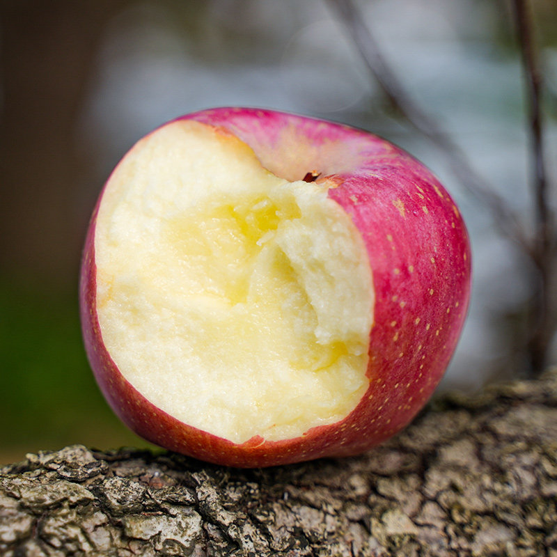 【烈儿超值年货节 】三色苹果（红富士+维纳斯+王林苹果） 礼盒装,淘宝优惠券,粉丝福利购,淘宝优惠卷