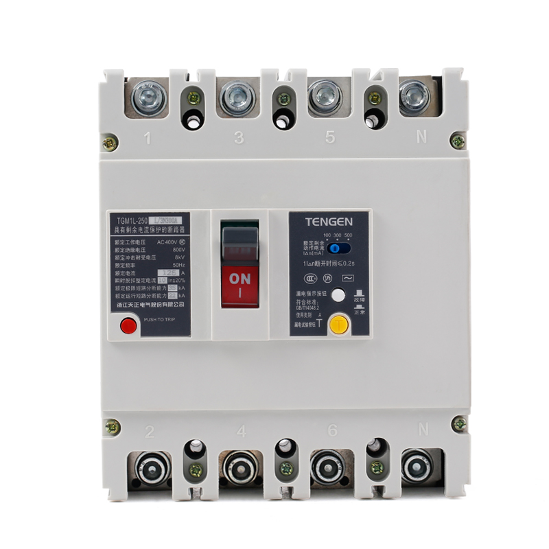 天正 TGM1L-250L/4300B 250A漏电开关塑壳断路器3N300A 200A 160A - 图2