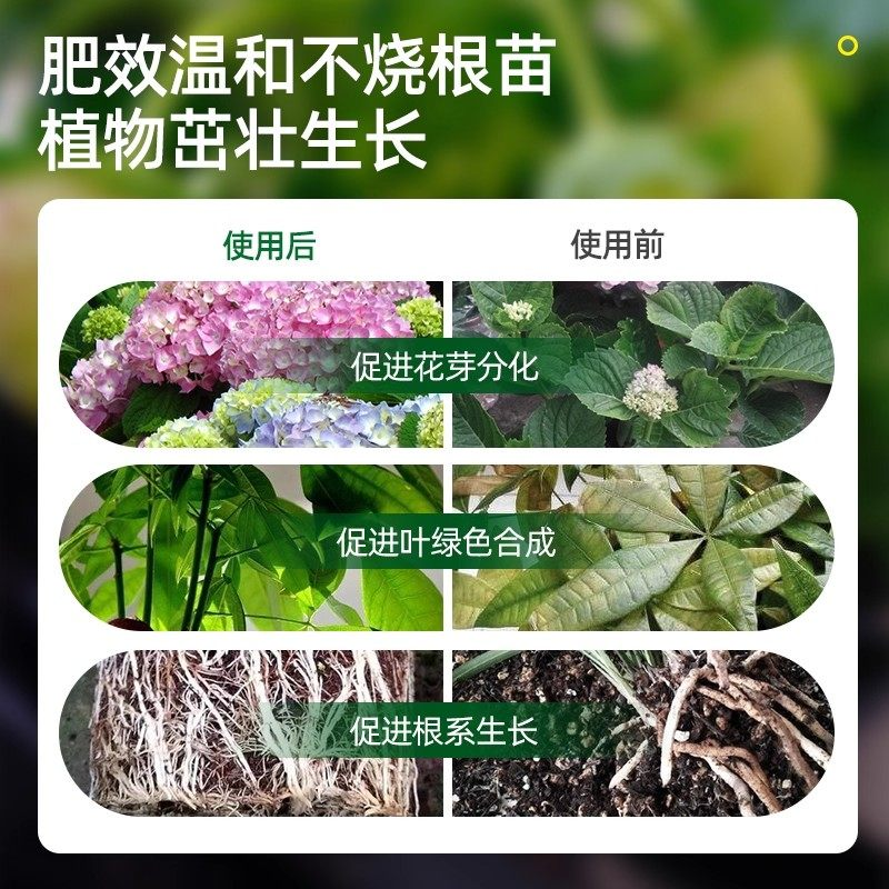 植物营养片绿植花卉肥料全效通用型家庭园艺缓释肥懒人养花营养液,淘宝优惠券,粉丝福利购,淘宝优惠卷