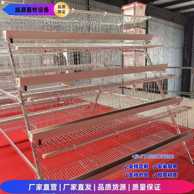 4层4门蛋鸡笼阶梯笼A型笼冷镀/热镀锌工艺养鸡笼,淘宝优惠券,粉丝福利购,淘宝优惠卷