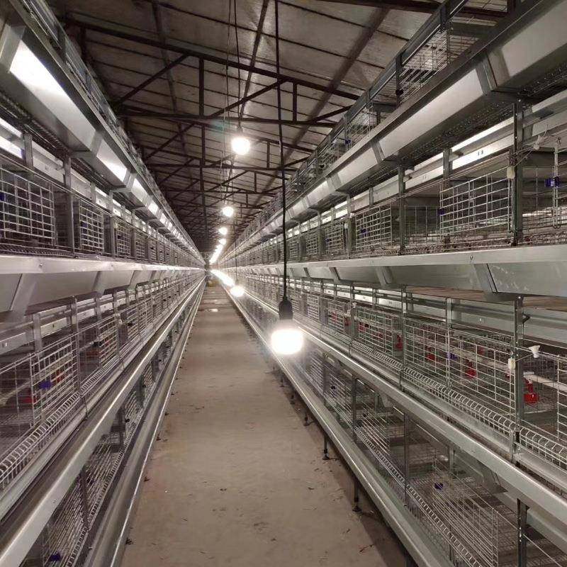 立式自动化养殖设备全自动框架养鸡笼鸡舍养鸡场层叠式H型鸽子笼,淘宝优惠券,粉丝福利购,淘宝优惠卷