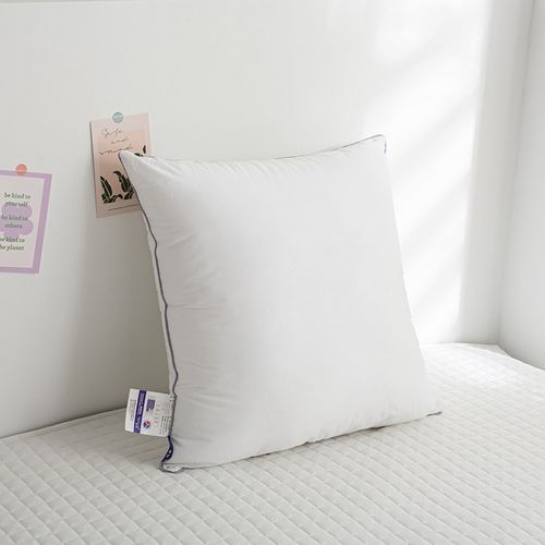 方形抱枕芯高回弹超软羽丝绒枕沙发靠垫内芯大靠背床上榻榻米枕头 - 图0