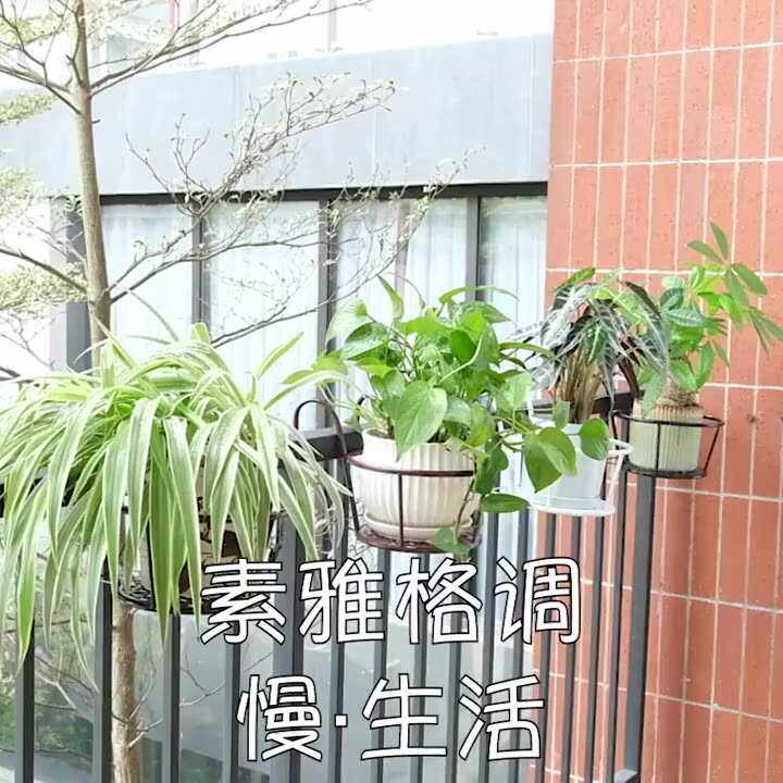 阳台花架家用铁艺悬挂式花盆挂架栏杆多肉绿萝花架子室内置物架新,淘宝优惠券,粉丝福利购,淘宝优惠卷
