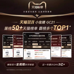 小蛮腰恒温Rinnai/林内燃气热水器家用天然气安全洗澡13/16升GC21