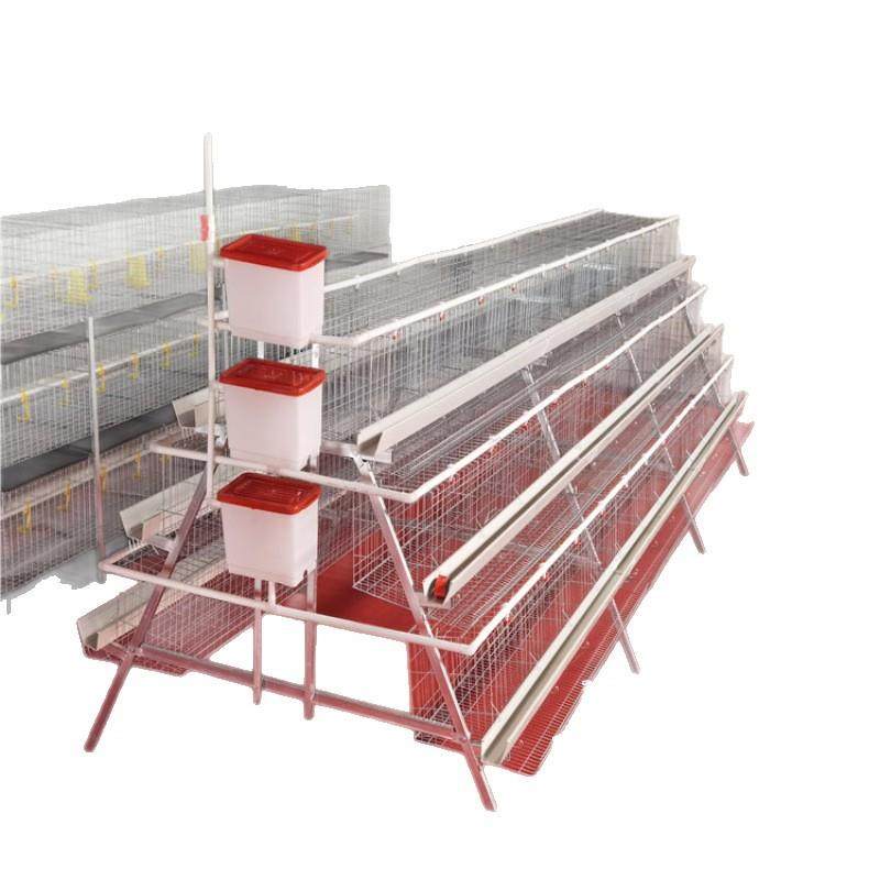 养殖家用3层4门蛋鸡笼A型笼阶梯笼镀锌工艺养殖设备,淘宝优惠券,粉丝福利购,淘宝优惠卷
