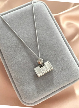 新款高级感长命锁招财毛衣链