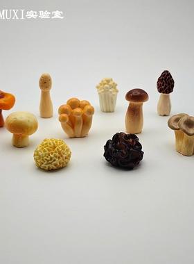 彷真写实蔬菜模型食玩小蘑菇香菇羊肚菌玩偶微景观摆件迷你装饰品