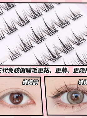 丝绒太阳花睫毛免胶自然仿真