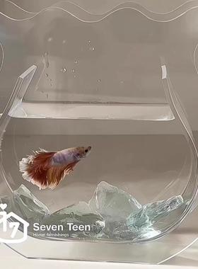 鱼缸花瓶摆件造景创意客厅餐桌桌面装饰生活仪式感ins高级感小众