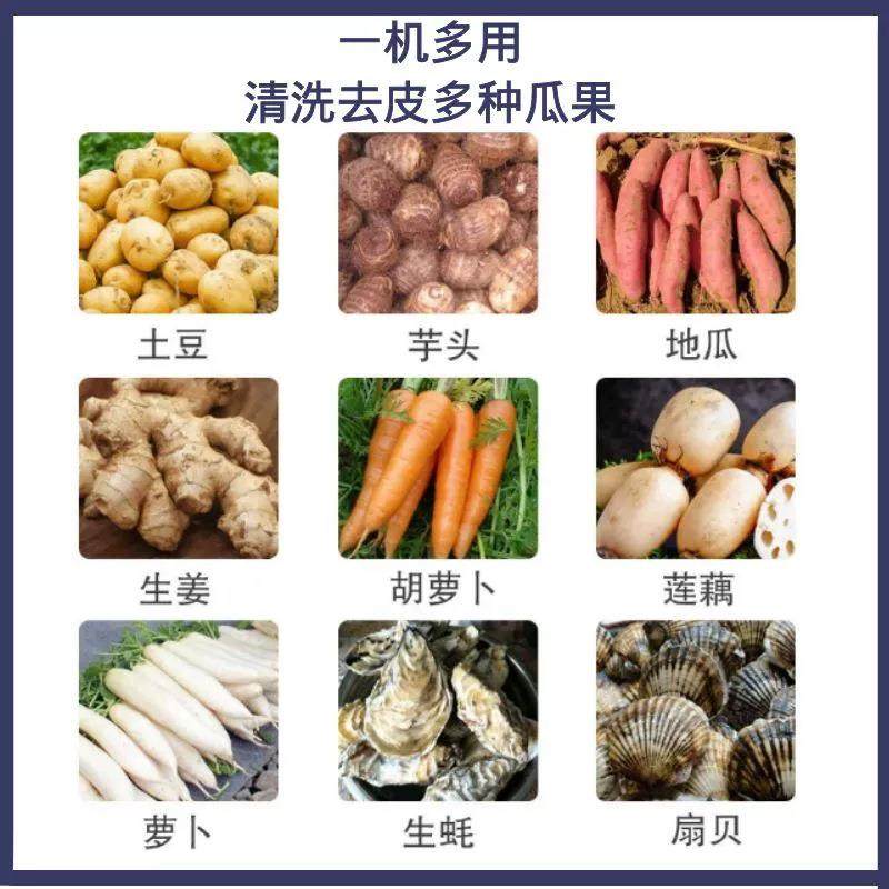 毛辊清洗机土豆莲藕清洗去皮机全自动马蹄魔芋猪蹄毛刷清洗设备,淘宝优惠券,粉丝福利购,淘宝优惠卷