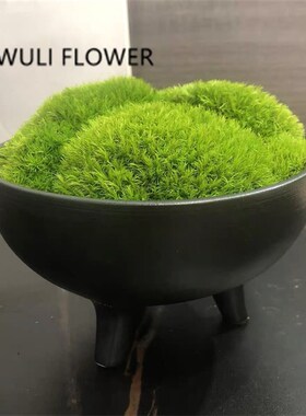 新侘寂复古脚盆绿色苔藓客厅 售楼部样板间茶几软