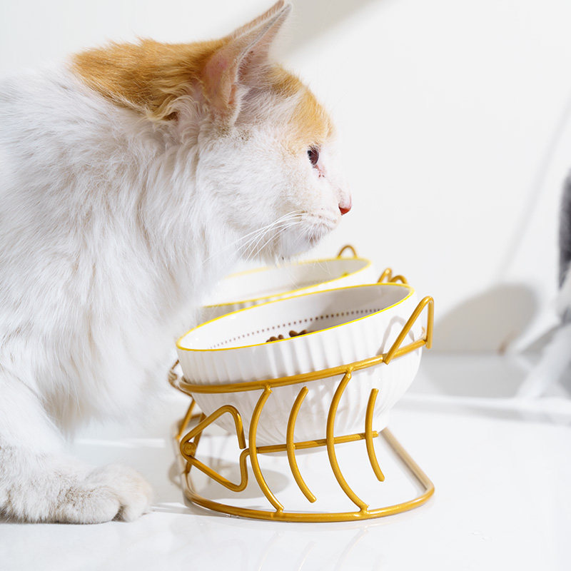 宠物猫碗陶瓷高脚护颈双碗防打翻猫狗食盆饮水粮碗倾斜架保护颈椎,淘宝优惠券,粉丝福利购,淘宝优惠卷