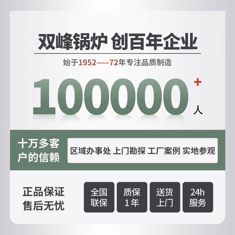锅炉生物质颗粒燃煤工业全自动商用节能卧式蒸汽发生器,淘宝优惠券,粉丝福利购,淘宝优惠卷