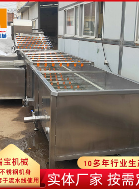 夏威夷果清洗机设备山楂韭菜气泡清洗机大型果蔬气泡清洗机设备