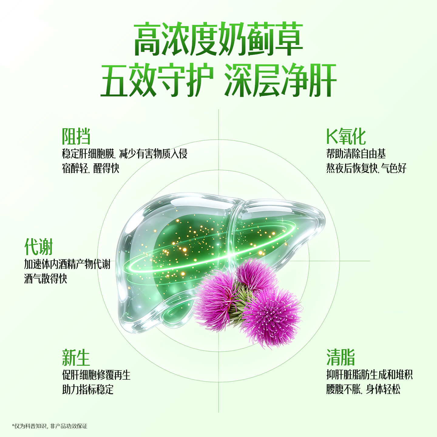 swisse斯维诗护肝片正品奶蓟草男士女性蓟类养肝水飞蓟官方旗舰店 swisse斯维诗护肝片正品奶蓟草男士女性蓟类养肝水飞蓟官方旗舰店