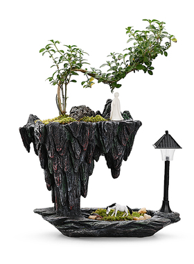 天空之城绿植盆栽迎客松盆景摆件客厅玄关酒柜样板间酒店装饰禅意