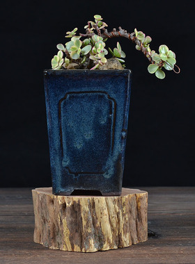 风化木小木桩实木头枯木家居饰品人物底座花瓶盆栽底托垫