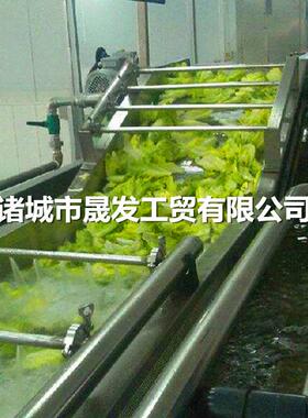 晟发海蔬厂家定制白菜清洗机晟发 果油菜气清洗机 气泡解泡冻机