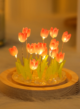 diy郁金香小夜灯摆件创意led手工材料包卧室装饰品情人节生日礼物