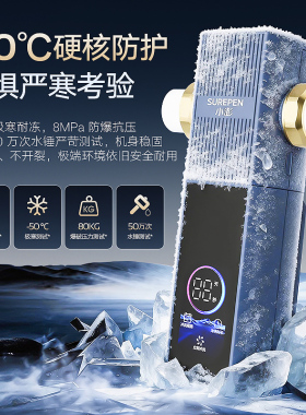 小澎全自动反冲洗前置过滤器
