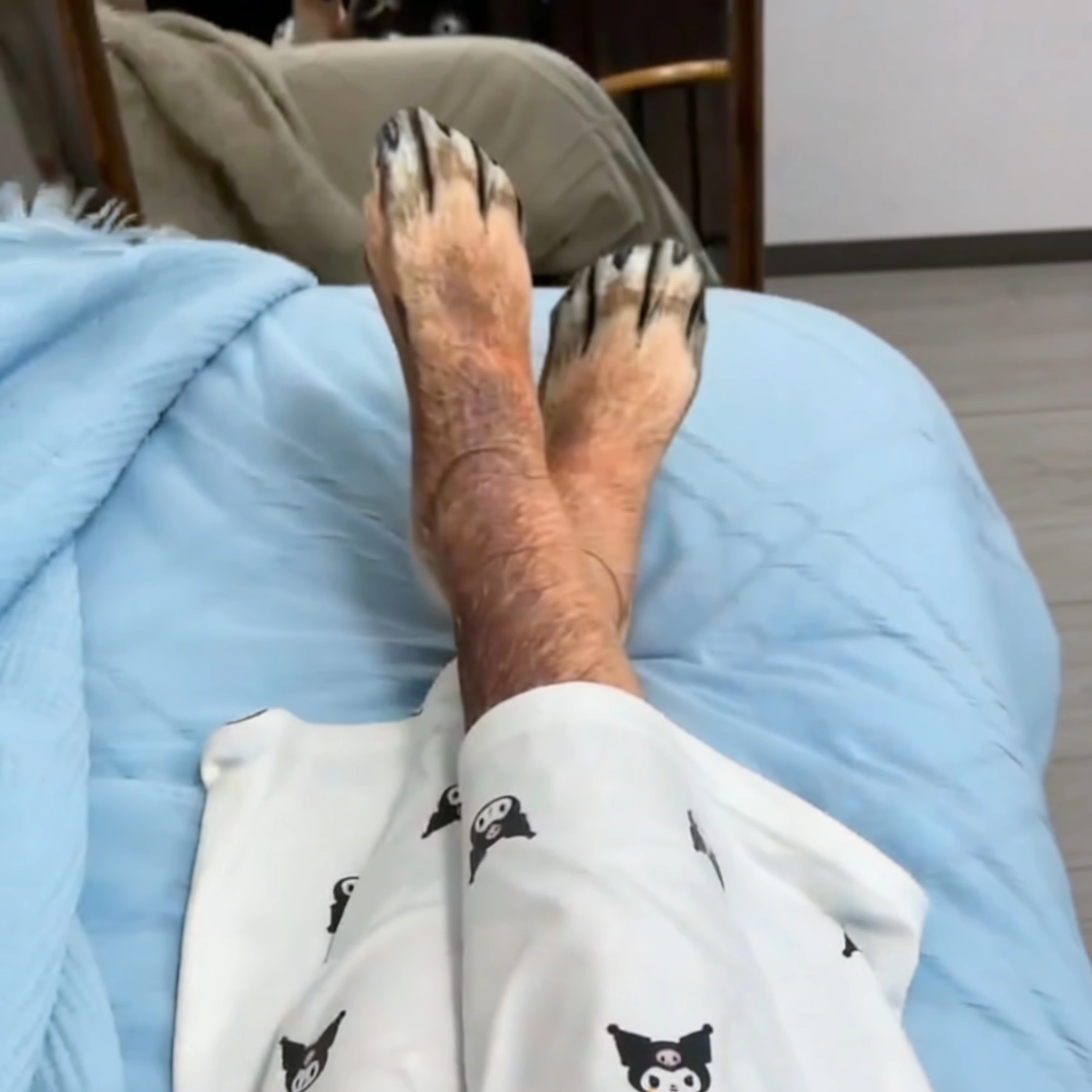 仿真狗脚袜子动物爪子整蛊用品搞怪恶搞长筒袜个性3d印花抽象猫爪,淘宝优惠券,粉丝福利购,淘宝优惠卷