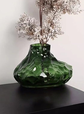 艺术感花瓶轻奢高级感客厅插花摆件复古透明水养玻璃花瓶新家装饰