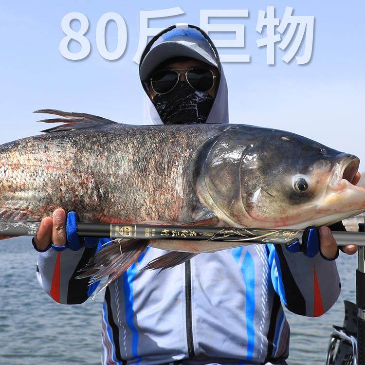 日本达瓦进口鲫鲤高档碳素钓鱼竿手杆超轻超硬19调名牌台钓大物竿,淘宝优惠券,粉丝福利购,淘宝优惠卷