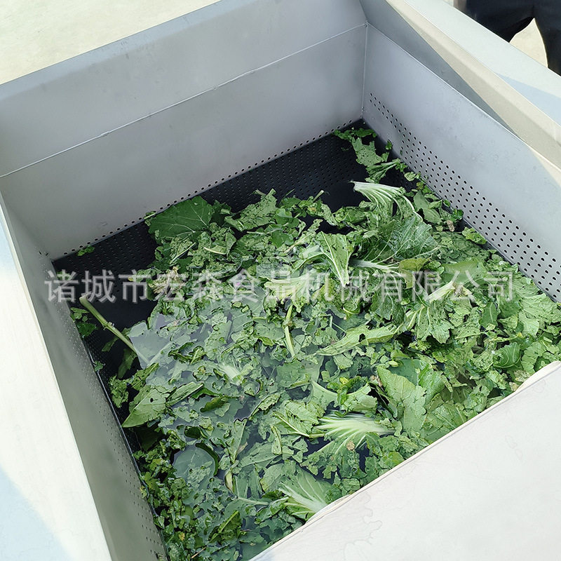 多功能肉类海鲜清洗机豆芽涡流翻斗清洗机西兰花菜花万能洗菜机,淘宝优惠券,粉丝福利购,淘宝优惠卷
