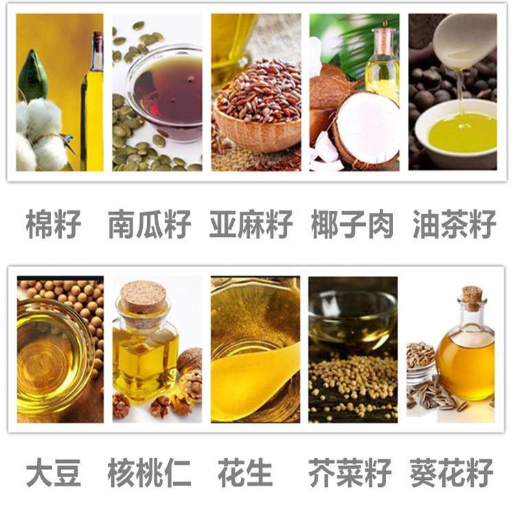 高性价比小中性流动卖油小摊车载花生菜籽茶籽大豆制造食用油机,淘宝优惠券,粉丝福利购,淘宝优惠卷