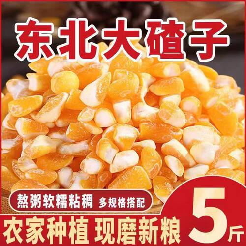 当季新鲜】玉米碴新货东北大碴子易煮熟好煮大玉米碴煮粥玉米碴子 - 图0