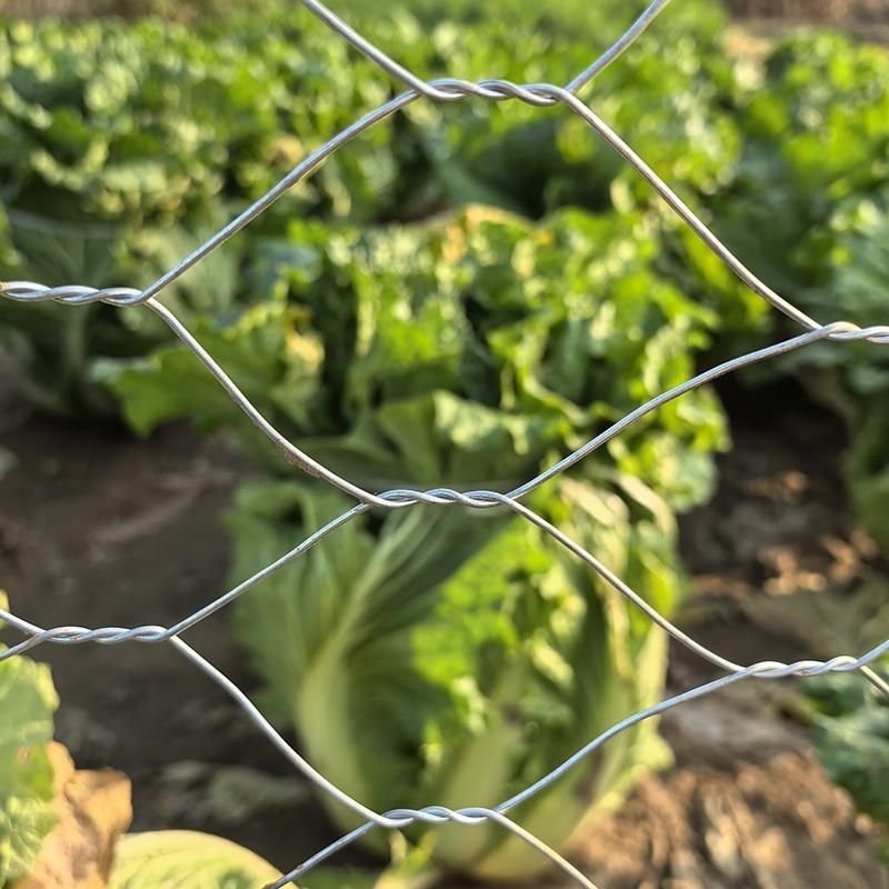 孔7X9厘米热镀锌六角拧花网菜园花园铁丝防护鸡笼小动物养殖围网,淘宝优惠券,粉丝福利购,淘宝优惠卷