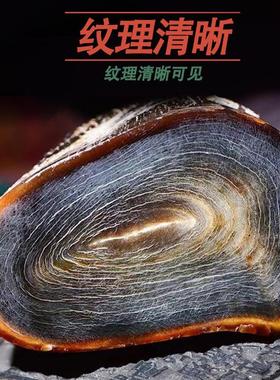 【保真】披毛犀整角装饰品小摆件珍贵收藏精美手把件角角