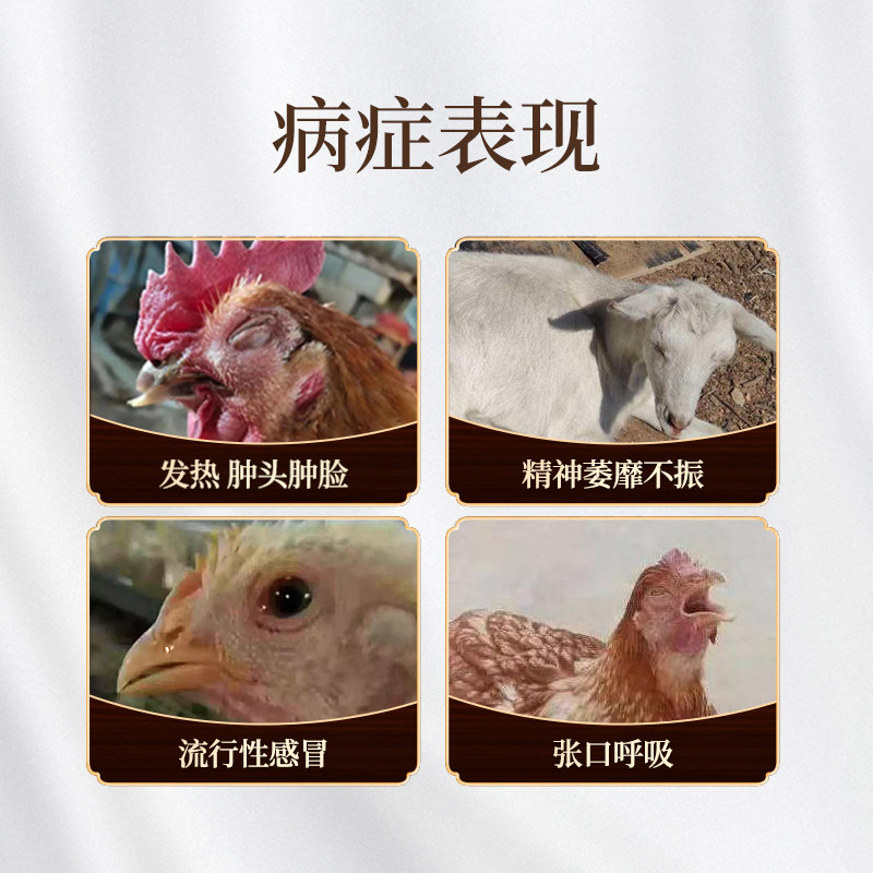 兽用板青颗粒兽药正品鸡猪牛羊用板蓝根粉清热解毒荆防败毒散国标,淘宝优惠券,粉丝福利购,淘宝优惠卷