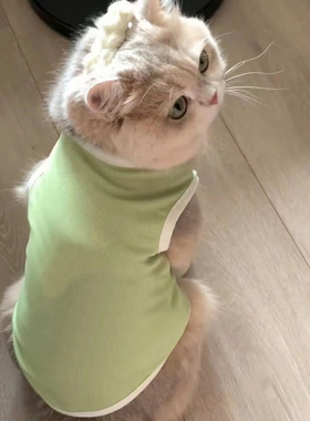 猫咪狗狗衣服春夏季宠物猫银渐层