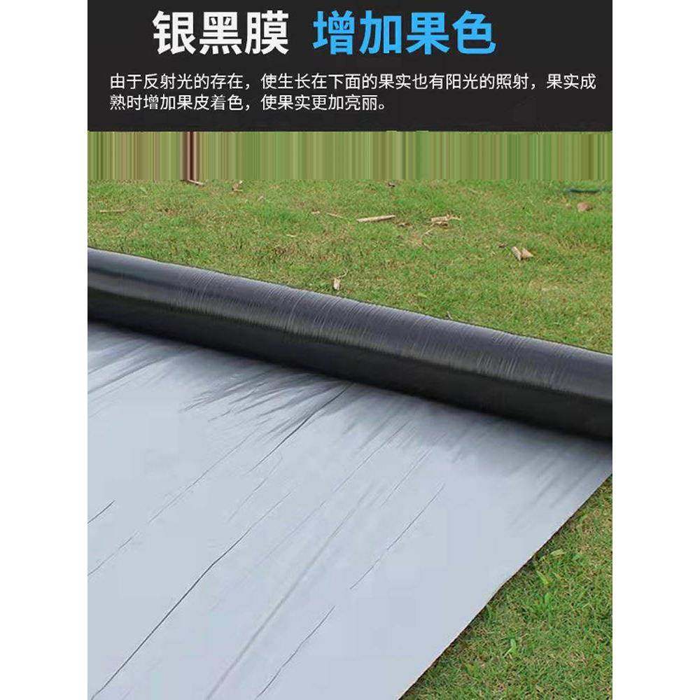 银黑双色膜反光植膜农膜RRM用黑地膜银膜黑膜除草 种 塑料薄膜膜,淘宝优惠券,粉丝福利购,淘宝优惠卷