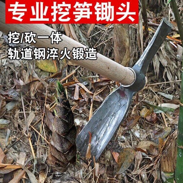 挖笋专用锄头一体轨道钢青冈木柄农用挖冬笋神器十字镐挖竹笋工具,淘宝优惠券,粉丝福利购,淘宝优惠卷