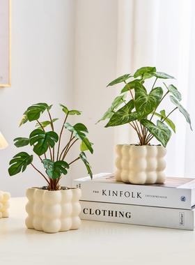 采购产品现代简单的模拟绿色植物，优雅的可访问的豪华客厅装饰，