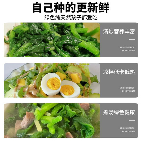 正品冰菜新鲜冰晶菜南方蔬菜四季长寿菜营养高钙冻不死沙拉菜种子 - 图1