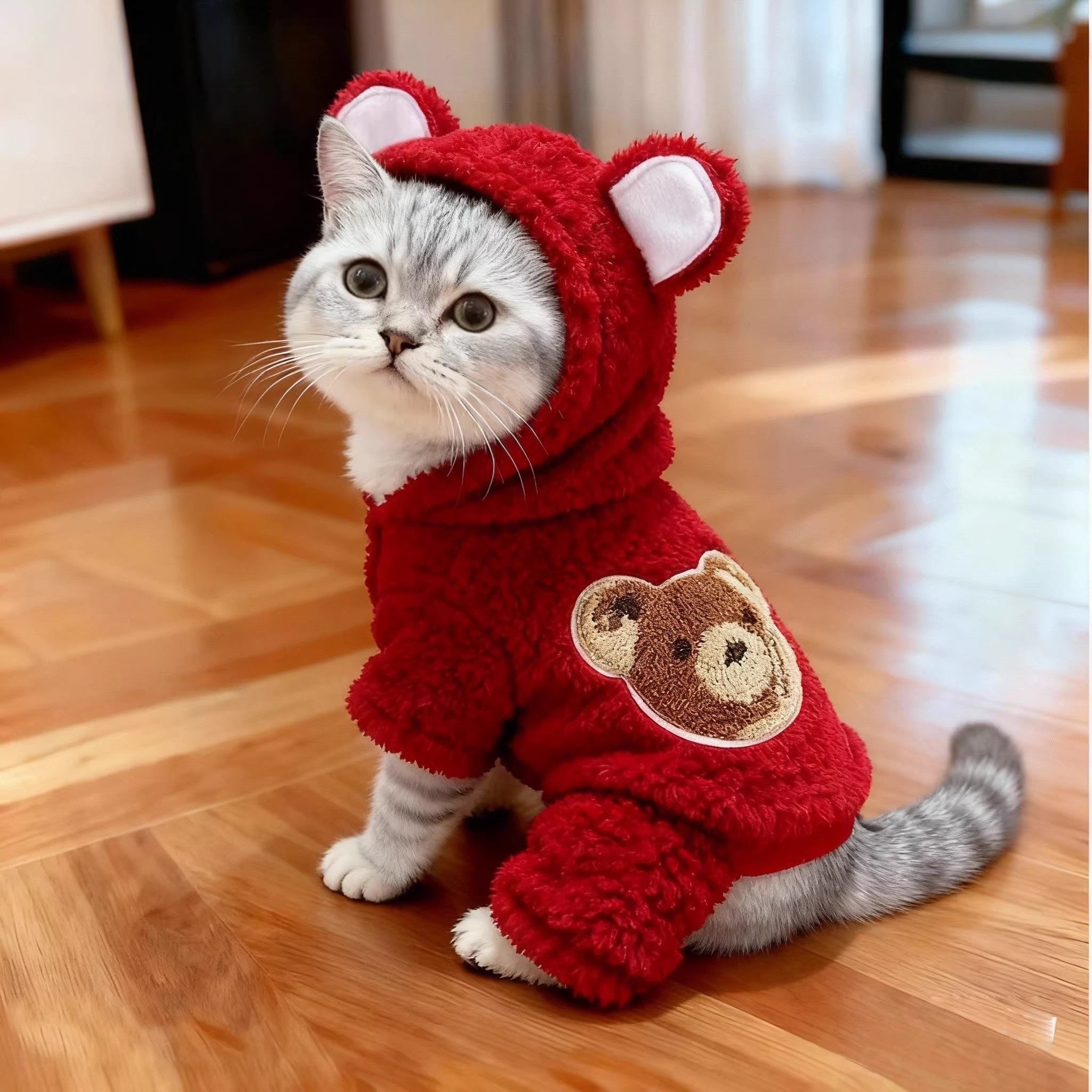 会卖萌的狗狗冬装立体小熊耳朵连帽卫衣加厚保暖宠物衣服秋冬款,淘宝优惠券,粉丝福利购,淘宝优惠卷