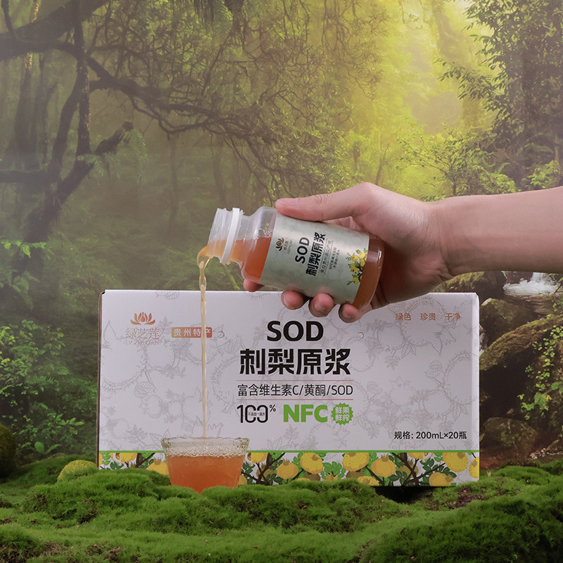 贵州刺梨原浆200ml瓶装整箱装NFC鲜果鲜榨刺梨原汁原液富含SODVP,淘宝优惠券,粉丝福利购,淘宝优惠卷