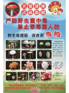 远离毒蘑菇宣传海报勿采毒蘑菇告示常见毒蘑菇贴图毒蘑菇的认识图