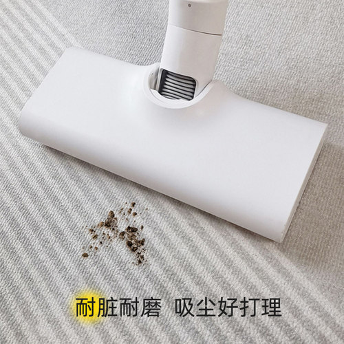 入户门地垫简约进门垫子家用玄关门口F地毯门外防滑耐脏脚垫可定 - 图3