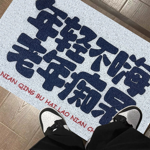 家用脚垫入户f门玄关地垫防滑耐磨门口丝圈门垫宿舍可定制裁剪地 - 图2