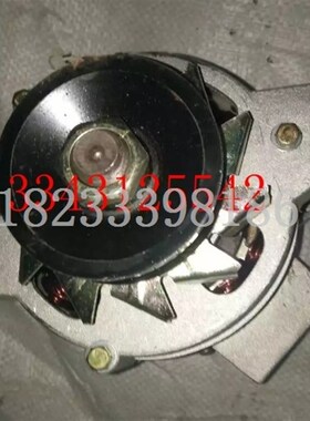 农机配件电启动柴油机配套发电机农用车发电机带调节器12V*