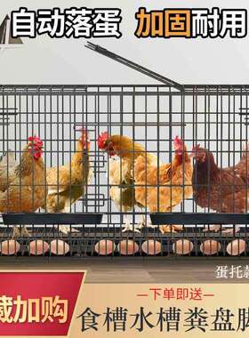 鸡笼子家用下蛋养殖笼自动清粪滚蛋大号特大号鸡窝鸡舍折叠养鸡笼