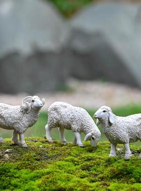 彷真绵羊微景观桌面动物小羊模型摆件盆景饰品树脂工艺品装饰摆设